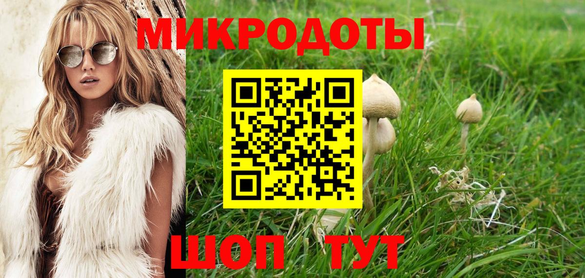 Галлюциногенные грибы Cubensis Семилуки