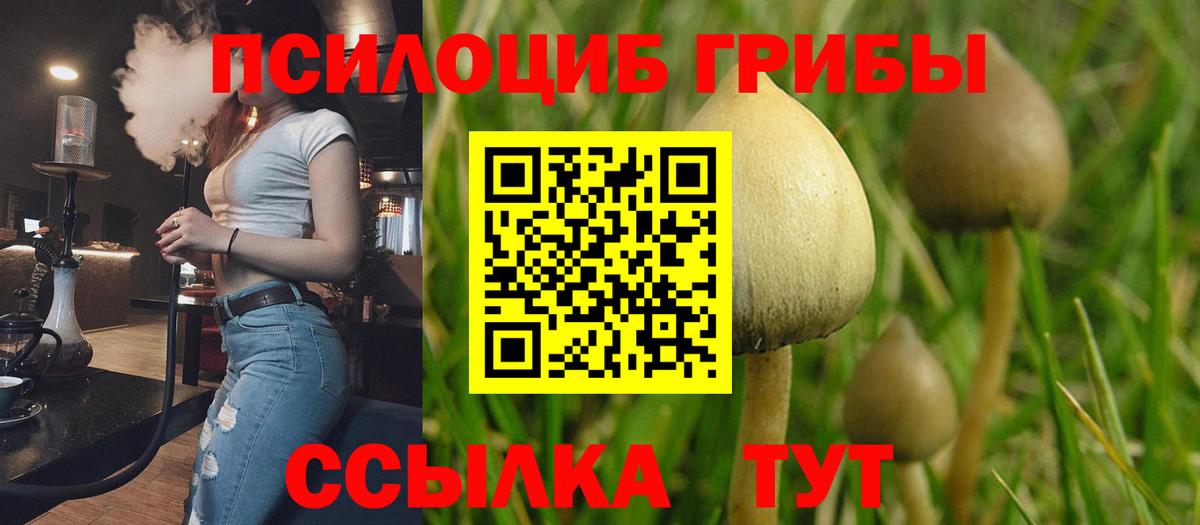 как найти закладки  Вход с VPN  Семилуки  Псилоцибиновые грибы мухоморы 